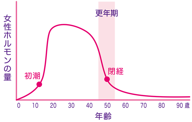 母指CM関節症と女性ホルモンの関係